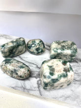 Load image into Gallery viewer, Tree Agate
