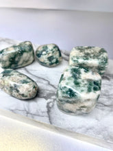 Load image into Gallery viewer, Tree Agate